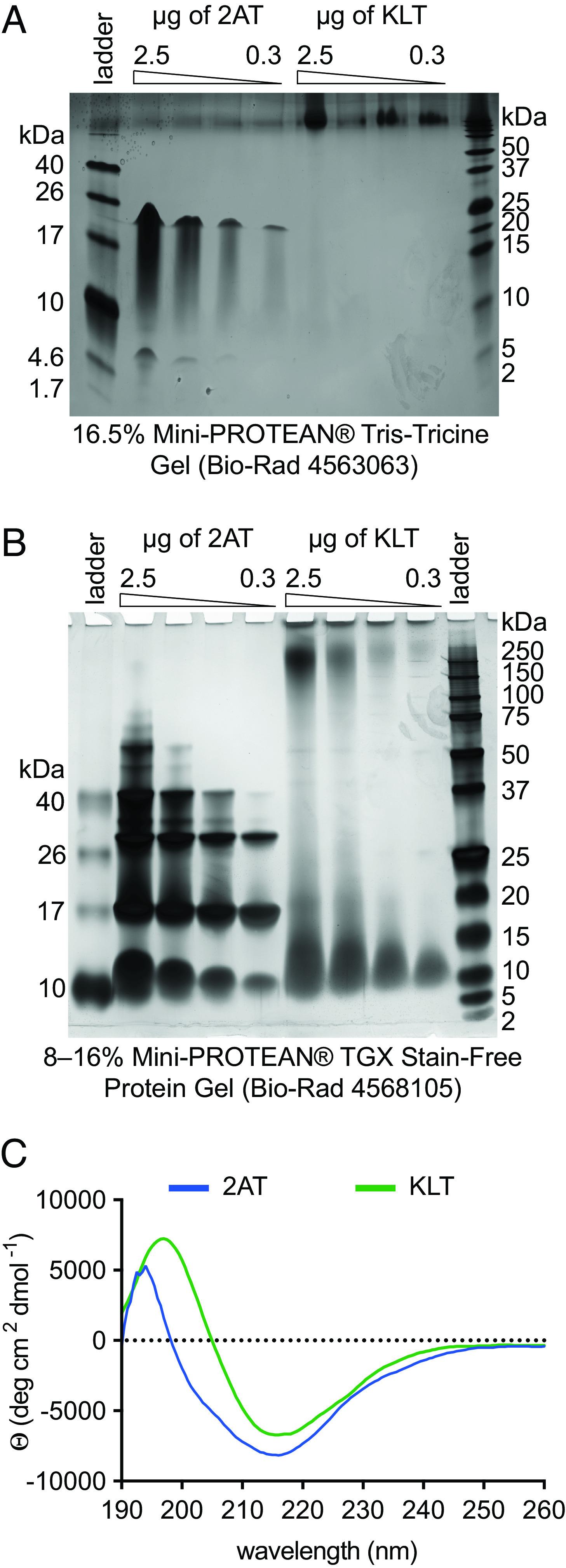 https://cdn.ncbi.nlm.nih.gov/pmc/blobs/ae3f/10235986/e6a279de0005/pnas.2219216120fig03.jpg