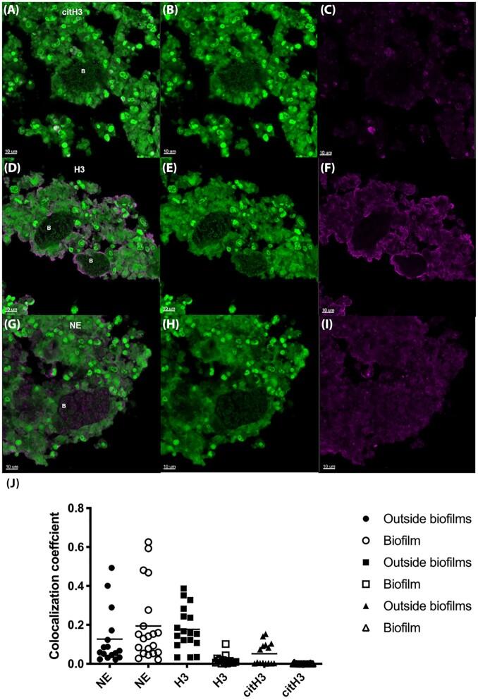 https://cdn.ncbi.nlm.nih.gov/pmc/blobs/ae43/7150582/74c23f6f644e/ftaa018fig9.jpg