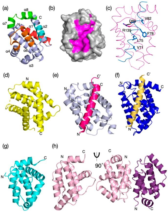 https://cdn.ncbi.nlm.nih.gov/pmc/blobs/ae91/7022251/e094ba90d06d/biomolecules-10-00128-g003.jpg