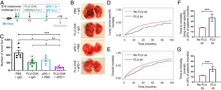 https://cdn.ncbi.nlm.nih.gov/pmc/blobs/ae9a/6969546/32876d3a1cbd/pnas.1904022116fig01.jpg