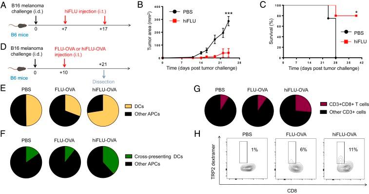 https://cdn.ncbi.nlm.nih.gov/pmc/blobs/ae9a/6969546/6ef55af433c4/pnas.1904022116fig02.jpg