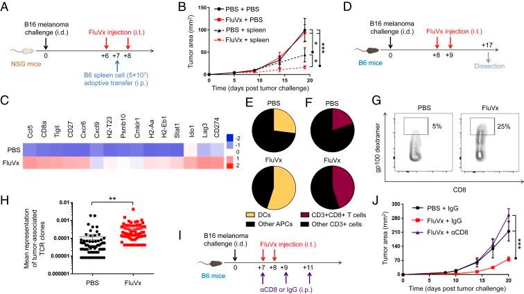 https://cdn.ncbi.nlm.nih.gov/pmc/blobs/ae9a/6969546/b6c86199d789/pnas.1904022116fig04.jpg