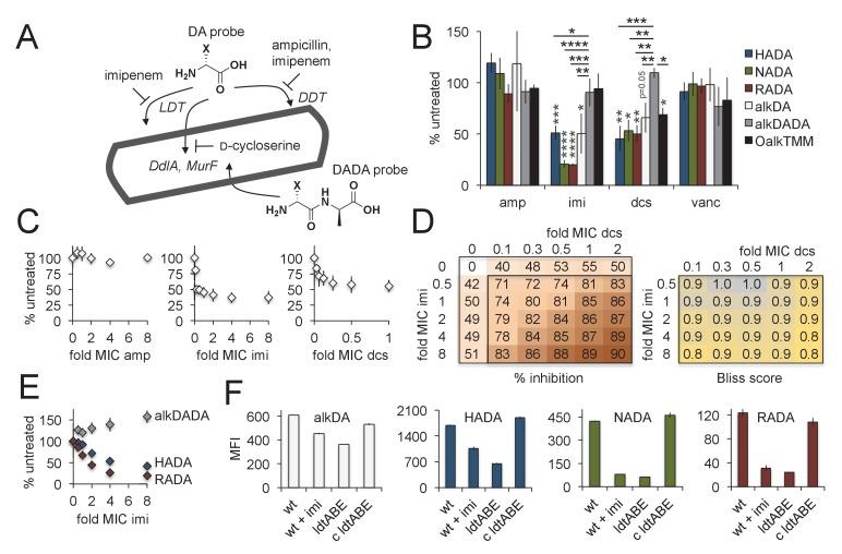 https://cdn.ncbi.nlm.nih.gov/pmc/blobs/aeb2/6191288/b4067dc1577e/elife-37243-fig3.jpg