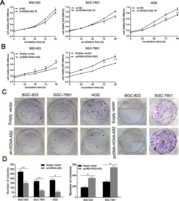 https://cdn.ncbi.nlm.nih.gov/pmc/blobs/aeb8/4741787/1b3db1febdb2/oncotarget-06-33587-g002.jpg