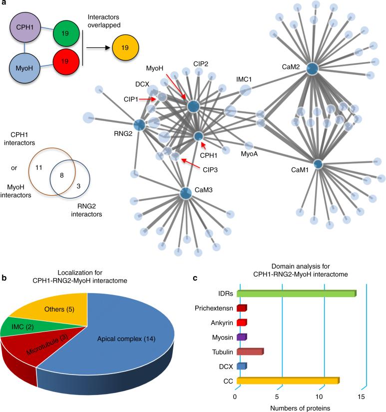 https://cdn.ncbi.nlm.nih.gov/pmc/blobs/aeed/5740107/56c73c042c31/41467_2017_2341_Fig5_HTML.jpg