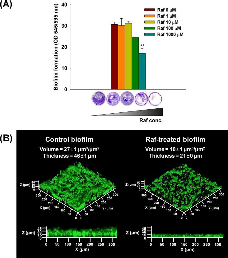 https://cdn.ncbi.nlm.nih.gov/pmc/blobs/af2f/9241737/62c89950a5ba/spectrum.02076-21-f002.jpg