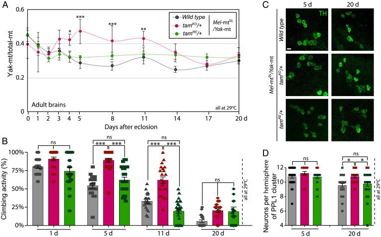 https://cdn.ncbi.nlm.nih.gov/pmc/blobs/af39/9351377/218b0aa67f19/pnas.2119009119fig03.jpg