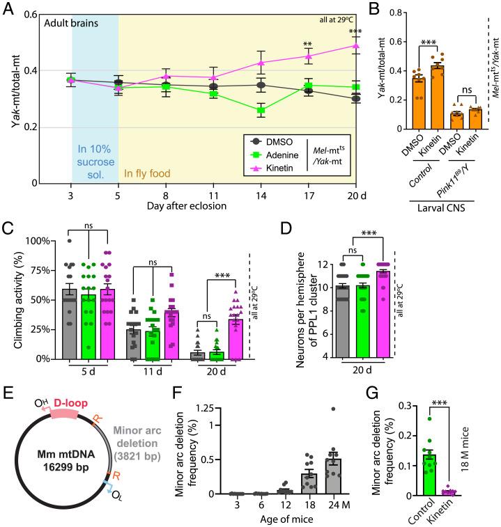 https://cdn.ncbi.nlm.nih.gov/pmc/blobs/af39/9351377/49f3d9826dae/pnas.2119009119fig04.jpg