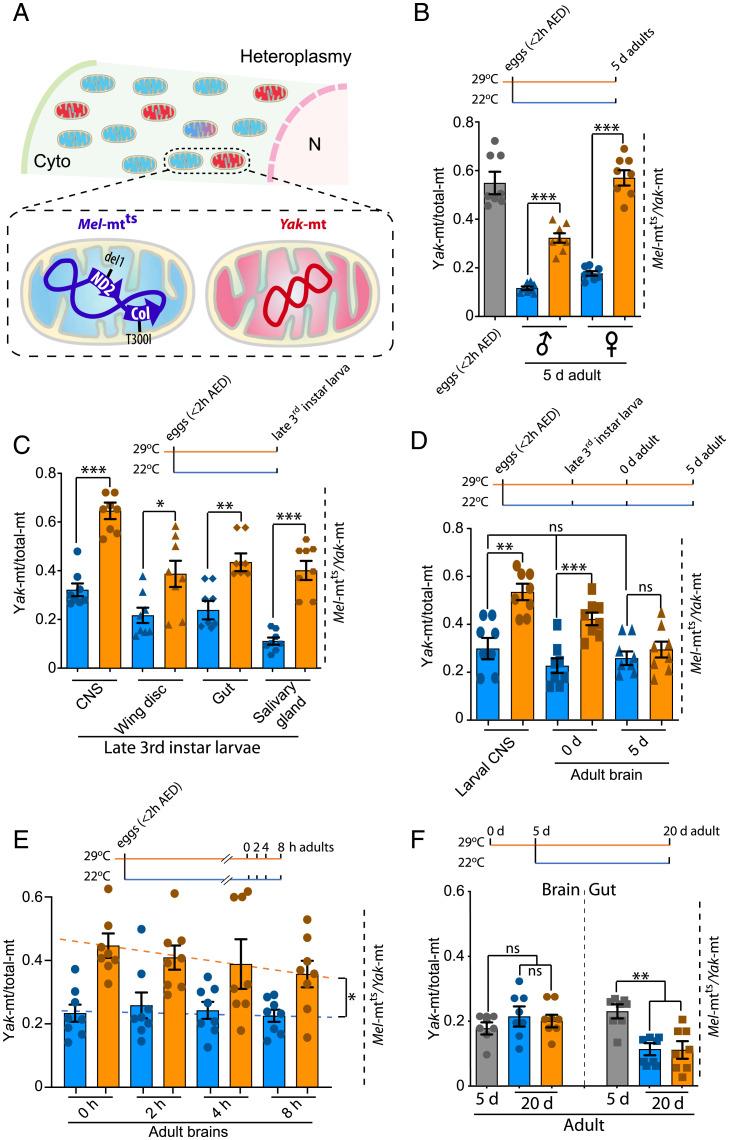 https://cdn.ncbi.nlm.nih.gov/pmc/blobs/af39/9351377/b5c48195a006/pnas.2119009119fig01.jpg