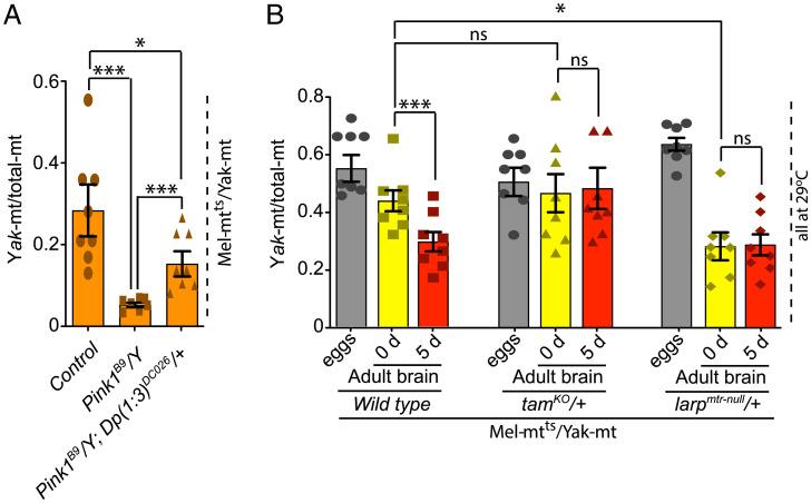 https://cdn.ncbi.nlm.nih.gov/pmc/blobs/af39/9351377/f91521d4e7ca/pnas.2119009119fig02.jpg
