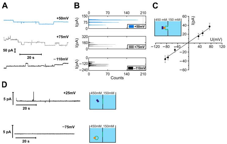 https://cdn.ncbi.nlm.nih.gov/pmc/blobs/af52/10741985/00fedd90ea78/biomolecules-13-01774-g002.jpg