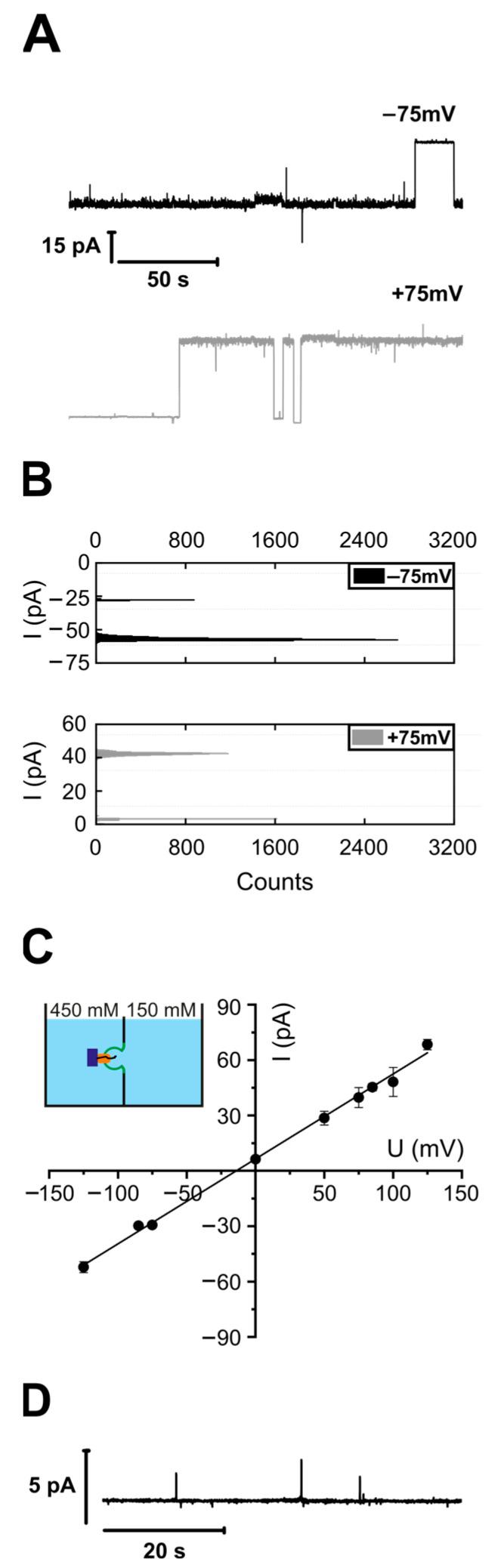 https://cdn.ncbi.nlm.nih.gov/pmc/blobs/af52/10741985/240a07ef9e66/biomolecules-13-01774-g001.jpg