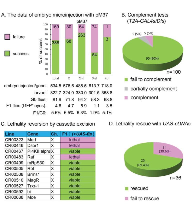 https://cdn.ncbi.nlm.nih.gov/pmc/blobs/af68/5898912/b36637e630ce/elife-35574-fig4.jpg