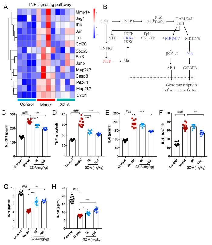 https://cdn.ncbi.nlm.nih.gov/pmc/blobs/af71/10536214/fdc466fc39a8/nutrients-15-03914-g005.jpg