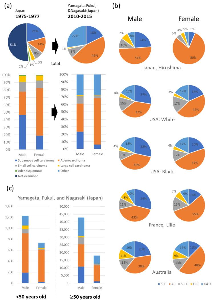 https://cdn.ncbi.nlm.nih.gov/pmc/blobs/af7c/10377312/87674e11688b/cancers-15-03620-g001.jpg