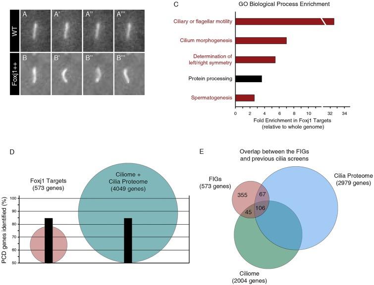 https://cdn.ncbi.nlm.nih.gov/pmc/blobs/af7d/4199137/62baaeb58de4/develop-141-108209-g1.jpg