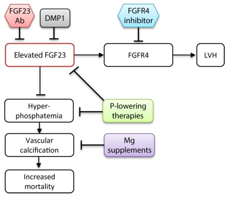 https://cdn.ncbi.nlm.nih.gov/pmc/blobs/af8c/6891626/1d6041b3d81f/toxins-11-00647-g003.jpg