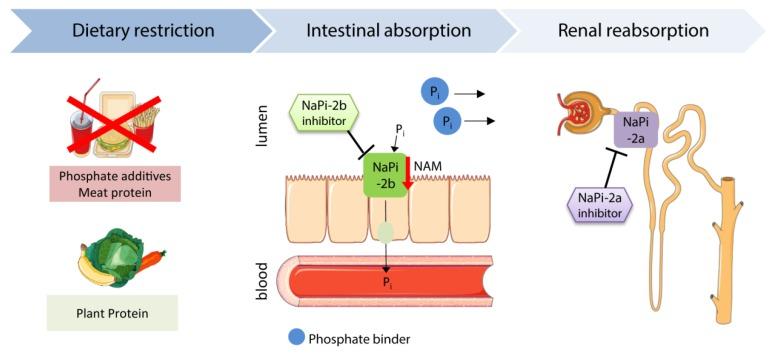 https://cdn.ncbi.nlm.nih.gov/pmc/blobs/af8c/6891626/ccb7a570f901/toxins-11-00647-g002.jpg