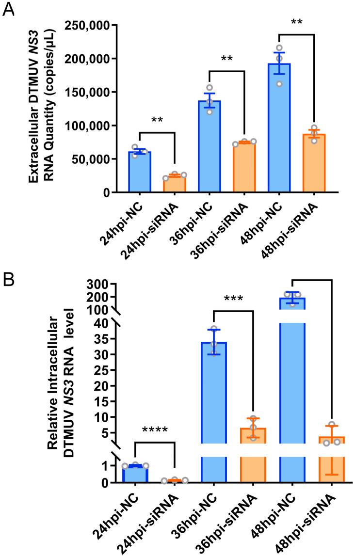 https://cdn.ncbi.nlm.nih.gov/pmc/blobs/afa7/11680370/0d43c36e351f/viruses-16-01831-g005.jpg