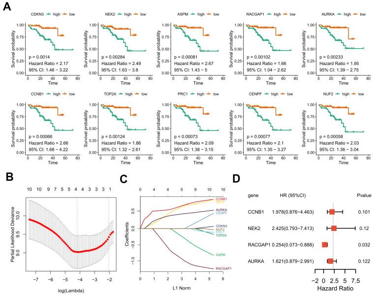 https://cdn.ncbi.nlm.nih.gov/pmc/blobs/afab/8148482/2f60b0d0eacc/aging-13-202957-g008.jpg