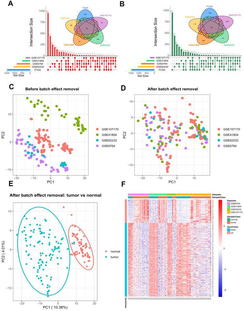 https://cdn.ncbi.nlm.nih.gov/pmc/blobs/afab/8148482/66b106b206a4/aging-13-202957-g002.jpg