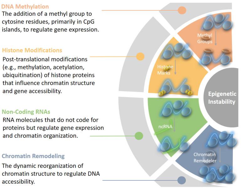 https://cdn.ncbi.nlm.nih.gov/pmc/blobs/afc6/11843950/dcc069785194/epigenomes-09-00005-g001.jpg