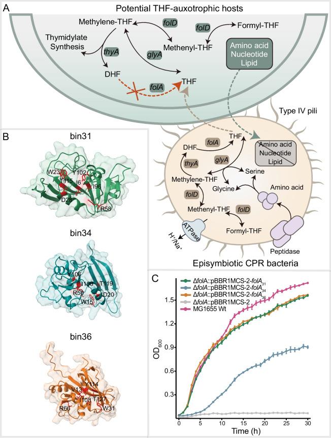 https://cdn.ncbi.nlm.nih.gov/pmc/blobs/afce/11974145/193fcbe627b1/40168_2025_2077_Fig5_HTML.jpg