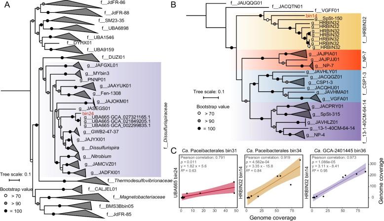 https://cdn.ncbi.nlm.nih.gov/pmc/blobs/afce/11974145/1e707169229f/40168_2025_2077_Fig4_HTML.jpg