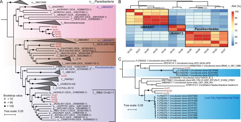https://cdn.ncbi.nlm.nih.gov/pmc/blobs/afce/11974145/398ca6a43ce2/40168_2025_2077_Fig2_HTML.jpg