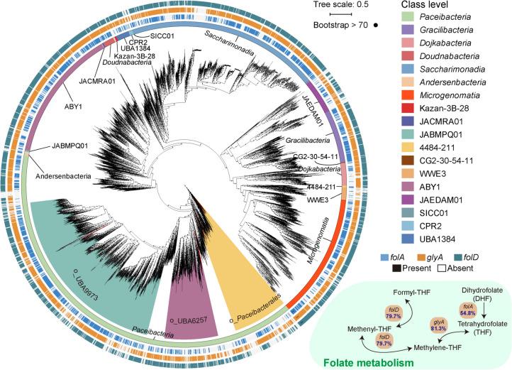 https://cdn.ncbi.nlm.nih.gov/pmc/blobs/afce/11974145/8d809151a6f7/40168_2025_2077_Fig6_HTML.jpg