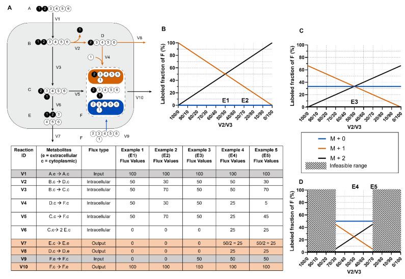 https://cdn.ncbi.nlm.nih.gov/pmc/blobs/afdb/9694183/3a2f4701ffc7/metabolites-12-01066-g002.jpg