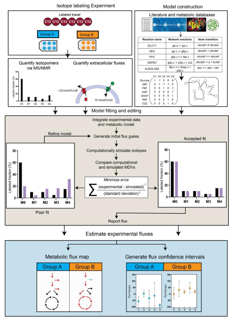 https://cdn.ncbi.nlm.nih.gov/pmc/blobs/afdb/9694183/c3017d2a8ad0/metabolites-12-01066-g003.jpg
