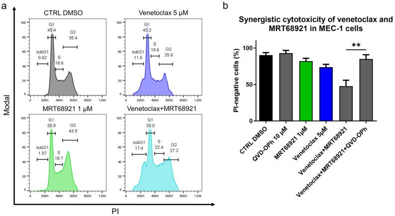 https://cdn.ncbi.nlm.nih.gov/pmc/blobs/afe0/8466897/6308f41ebe7f/cancers-13-04557-g008.jpg