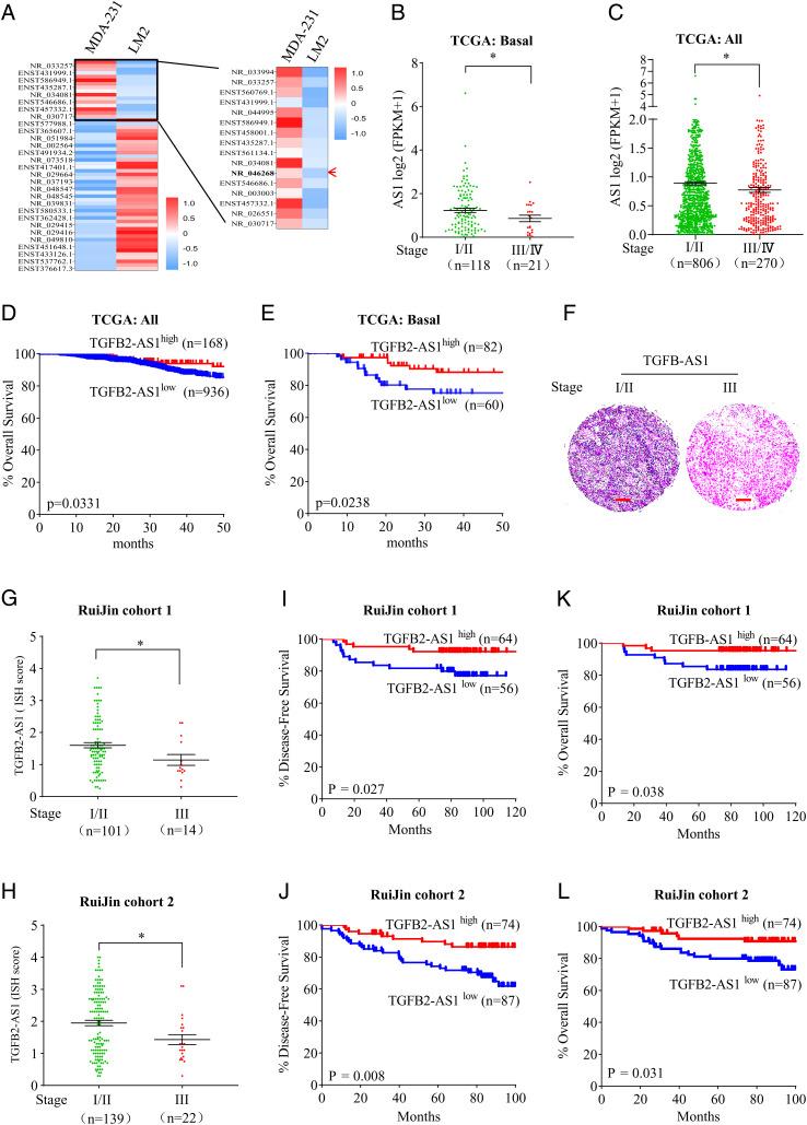 https://cdn.ncbi.nlm.nih.gov/pmc/blobs/b011/9522332/00d69436fee9/pnas.2117988119fig01.jpg