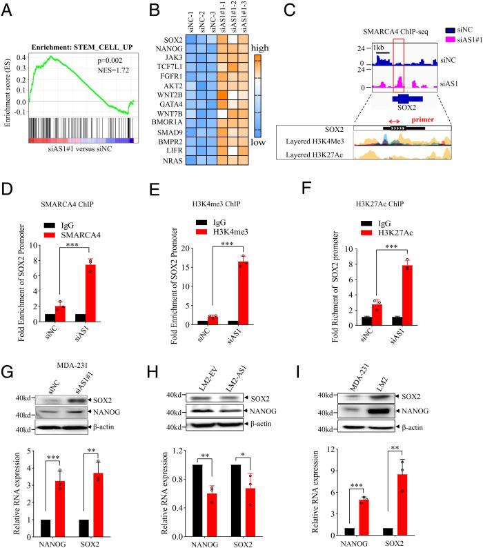 https://cdn.ncbi.nlm.nih.gov/pmc/blobs/b011/9522332/51f1ee2dfabd/pnas.2117988119fig07.jpg