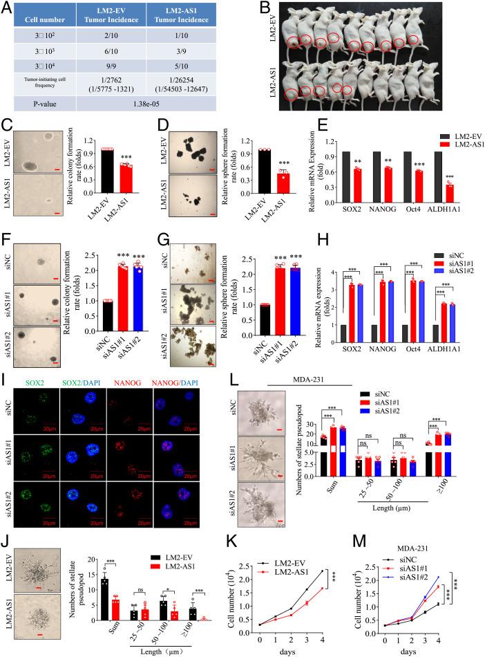 https://cdn.ncbi.nlm.nih.gov/pmc/blobs/b011/9522332/6524b801534d/pnas.2117988119fig03.jpg