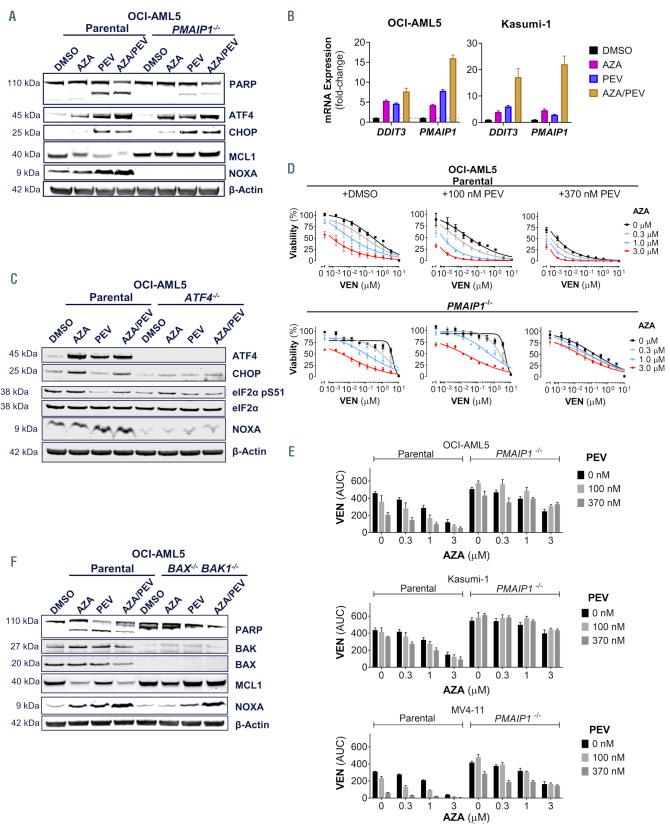 https://cdn.ncbi.nlm.nih.gov/pmc/blobs/b01e/8968901/72e4ae202781/107825.fig3.jpg