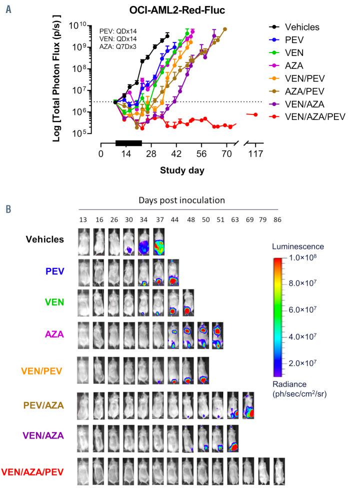 https://cdn.ncbi.nlm.nih.gov/pmc/blobs/b01e/8968901/c1cd2badf53b/107825.fig4.jpg