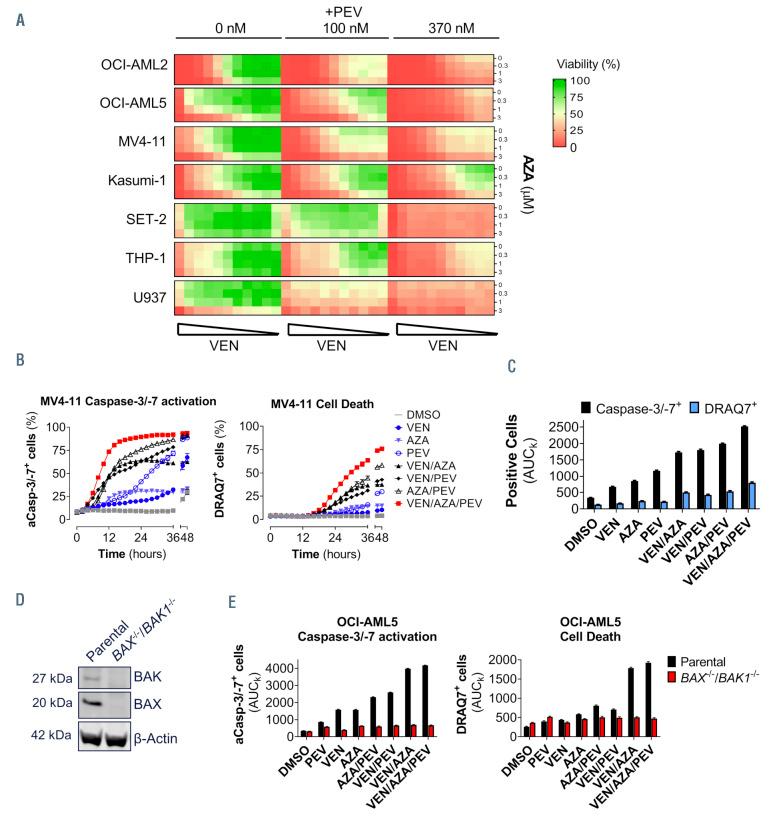 https://cdn.ncbi.nlm.nih.gov/pmc/blobs/b01e/8968901/ca5495af9855/107825.fig2.jpg
