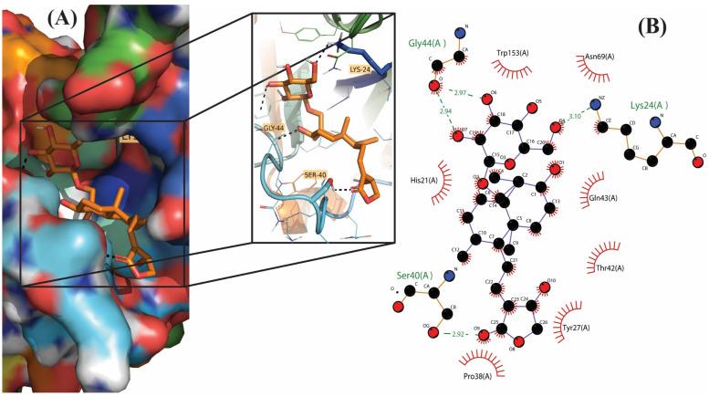 https://cdn.ncbi.nlm.nih.gov/pmc/blobs/b027/9862189/38ff97f19505/molecules-28-00909-g003.jpg