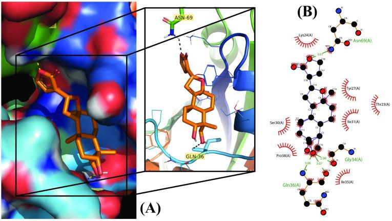 https://cdn.ncbi.nlm.nih.gov/pmc/blobs/b027/9862189/53aea203f6ca/molecules-28-00909-g004.jpg