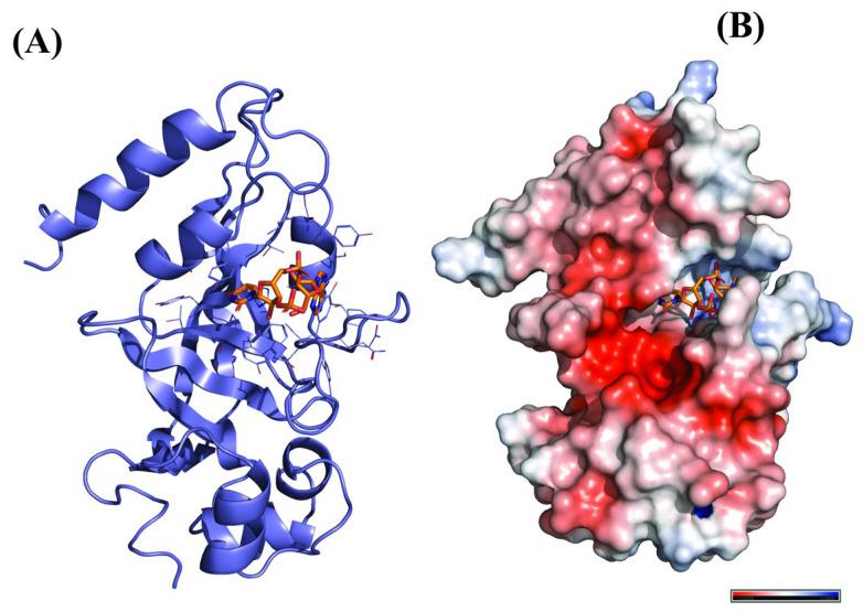 https://cdn.ncbi.nlm.nih.gov/pmc/blobs/b027/9862189/742f86c2b851/molecules-28-00909-g006.jpg