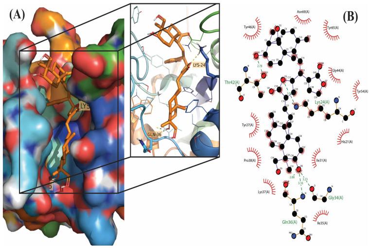 https://cdn.ncbi.nlm.nih.gov/pmc/blobs/b027/9862189/7f816b7ee370/molecules-28-00909-g002.jpg