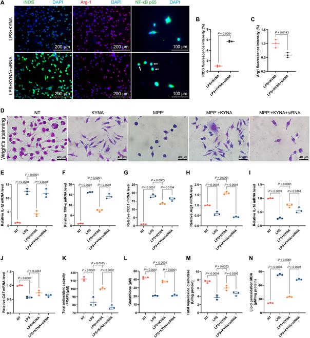 https://cdn.ncbi.nlm.nih.gov/pmc/blobs/b048/12376290/061cbed72eb7/research.0846.fig.007.jpg