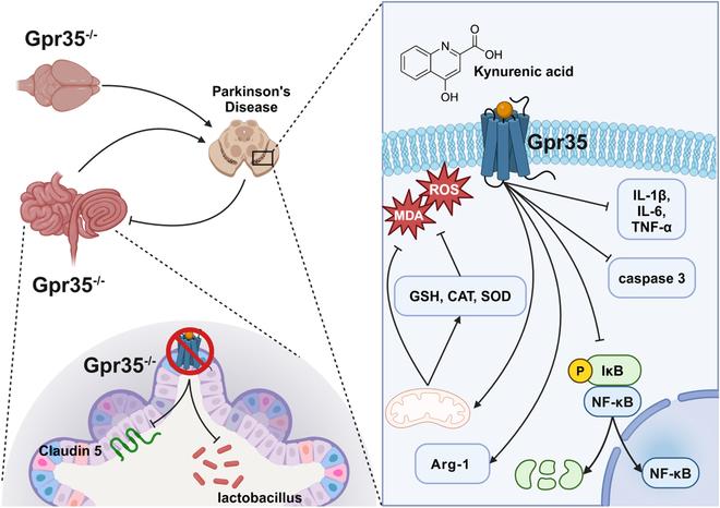 https://cdn.ncbi.nlm.nih.gov/pmc/blobs/b048/12376290/0cfd000a11d8/research.0846.fig.008.jpg
