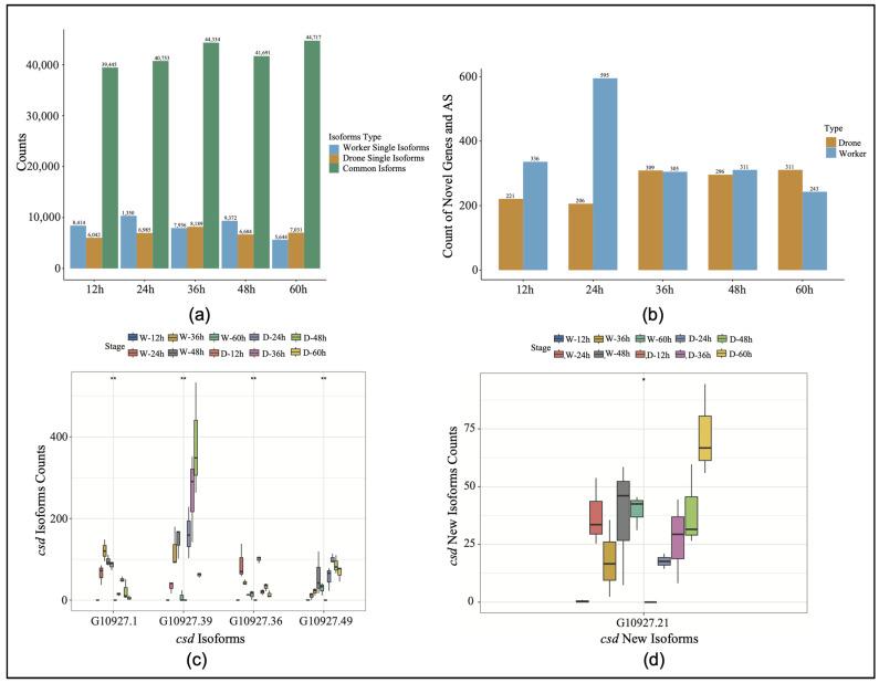https://cdn.ncbi.nlm.nih.gov/pmc/blobs/b066/11855871/3a65b7643b7a/genes-16-00187-g001.jpg