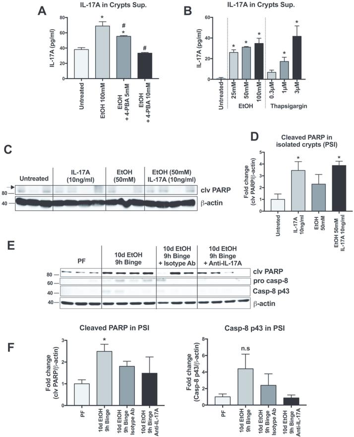 https://cdn.ncbi.nlm.nih.gov/pmc/blobs/b095/6599481/9c1dd6f3a942/nihms-1528161-f0004.jpg