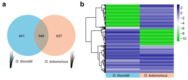 https://cdn.ncbi.nlm.nih.gov/pmc/blobs/b09a/11118044/a1ca8e2e3844/biology-13-00349-g003.jpg