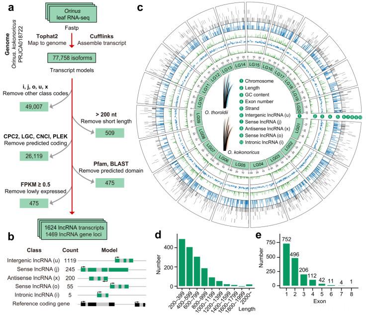 https://cdn.ncbi.nlm.nih.gov/pmc/blobs/b09a/11118044/c35c7a7a1e1b/biology-13-00349-g001.jpg
