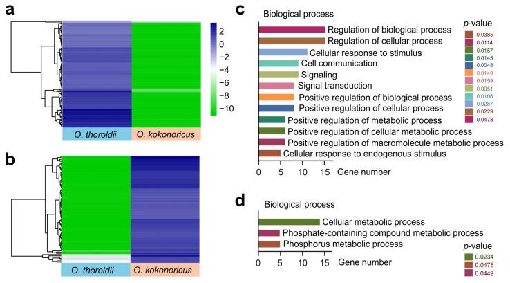 https://cdn.ncbi.nlm.nih.gov/pmc/blobs/b09a/11118044/c5ecd28e3902/biology-13-00349-g004.jpg